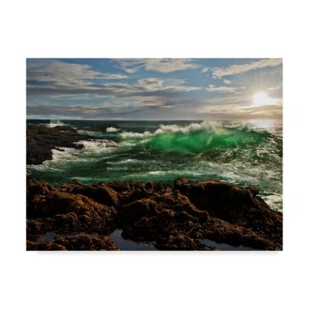 Trademark Fine Art Natalie Mikaels 'The Wave Rocky' Canvas Art, 18x24 ALI43413-C1824GG